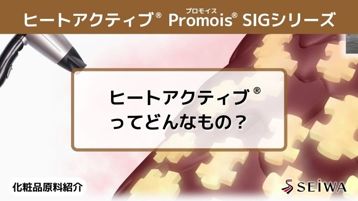 【化粧品原料講座】ドライヤーの熱で美髪を手に入れる「Promois(プロモイス) SIGシリーズ」