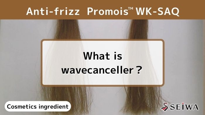 Peptides derivative for hair treatment – Experimental test of Promois WK-SAQ