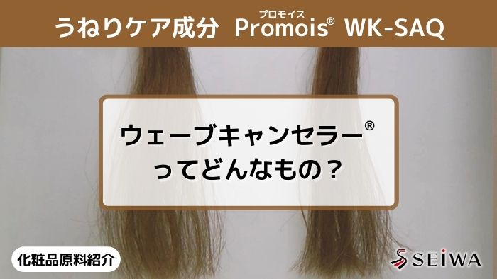 【化粧品原料講座】「Promois（プロモイス） WK-SAQ」の髪のうねり改善