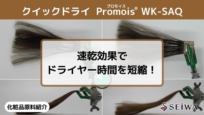 【化粧品原料講座】「Promois（プロモイス） WK-SAQ」による髪の速乾効果