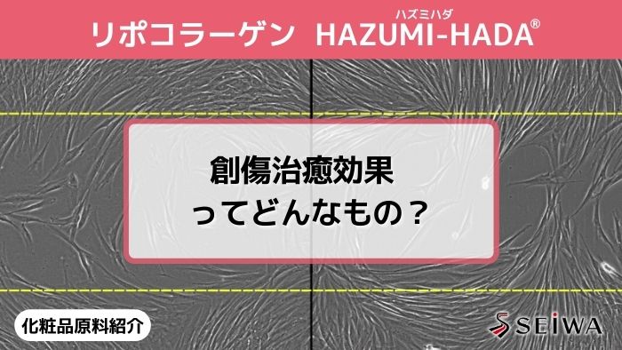 【化粧品原料講座】「HAZUMI-HADA（はずみ肌）」による線維芽細胞活性化